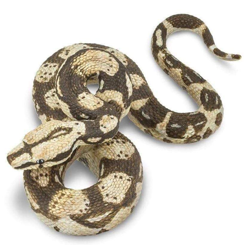 Boa Constrictor Animales de Juguete - Safari2