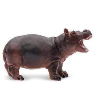 Hipopótamo Babé Animales de Juguete - Safari 3