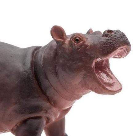 Hipopótamo Babé Animales de Juguete - Safari2