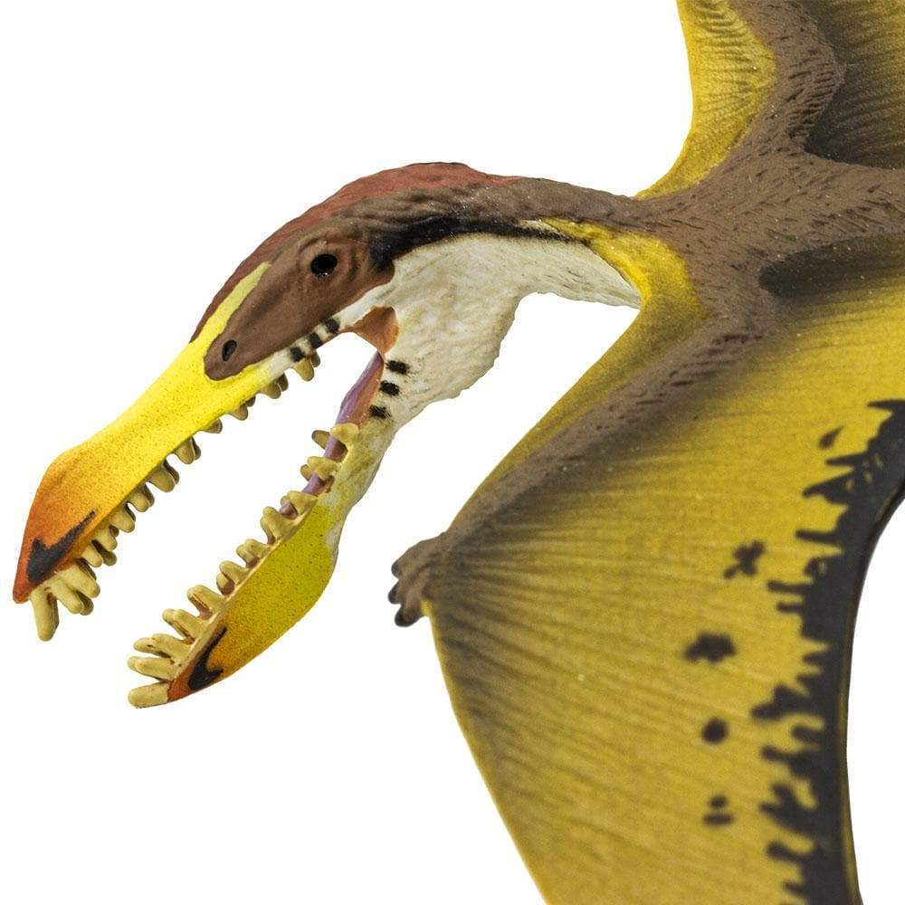 Pterosaurio Dinosaurios de Juguete - Safari 1