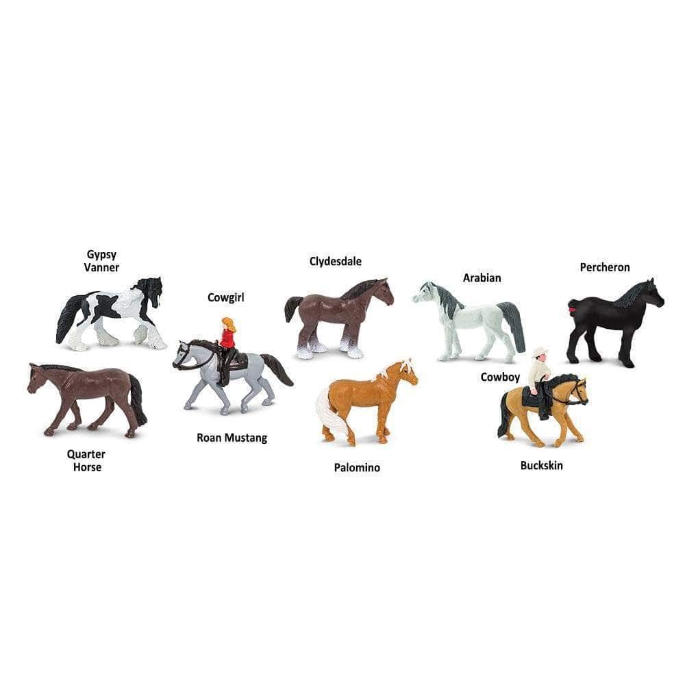 Animales Caballos y Jinetes - Safari1
