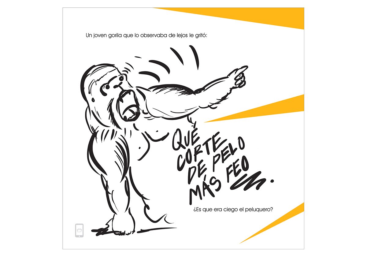 Libro Solo Un León - Recrea Libros3