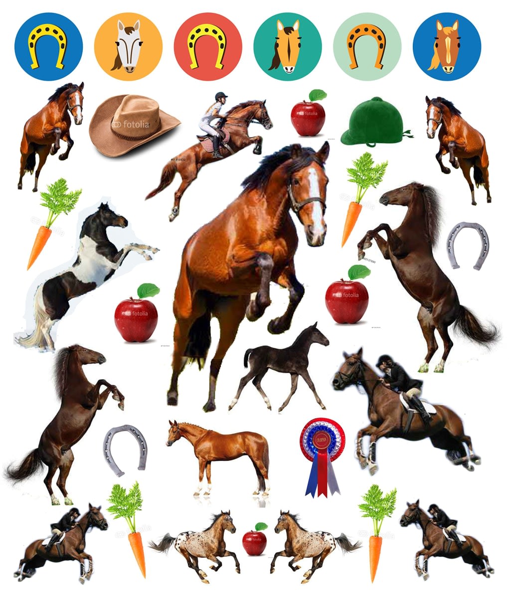 Libro de Stickers Caballos - Eeboo1