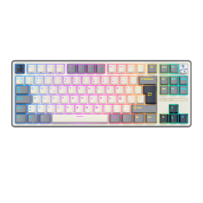 Teclado Royal Kludge RK-R87PRO TKL Cableado