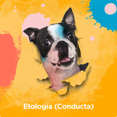 servicio de etologia servicio de etologia