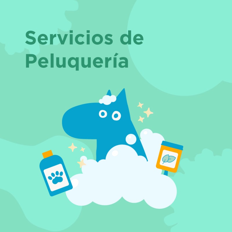 sheet/peluqueria canina