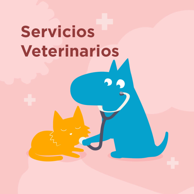 sheet/servicios veterinarios