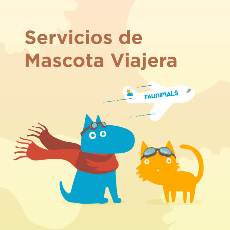 sheet/mascota viajera