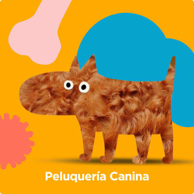 /sheet/peluqueria canina /sheet/peluqueria canina