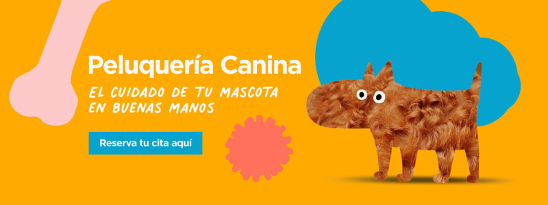 Peluquería canina, el cuidado de tu mascota en buenas manos.