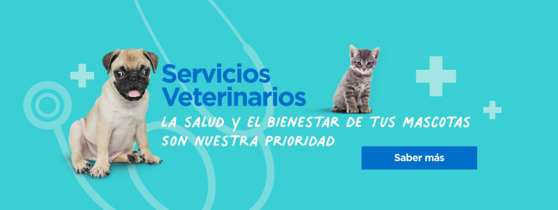 Servicios veterinarios, consulta, vacunas, puesta de chip