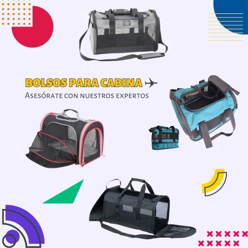 Bolsos cabina