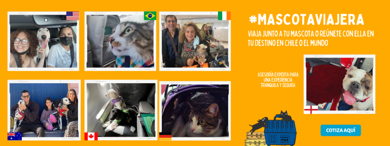 Servicio Mascota Viajera