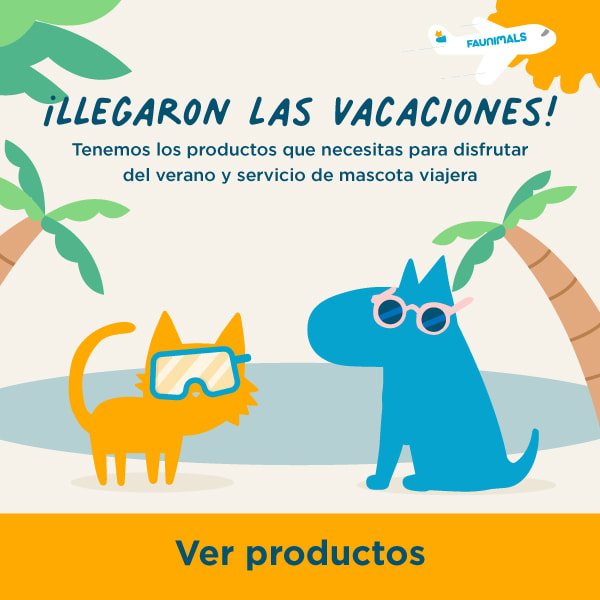 Productos Verano Productos Verano