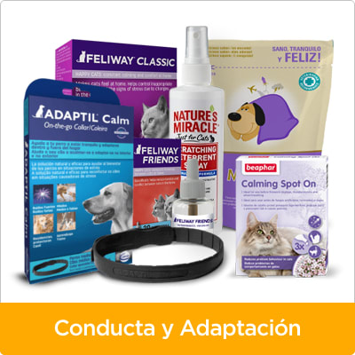 productos antiestrés productos antiestrés