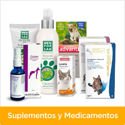 farmacia farmacia