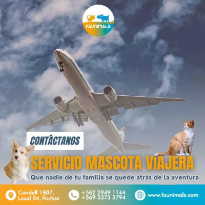 Servicio de viaje (BP)