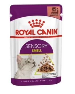 sensory smell