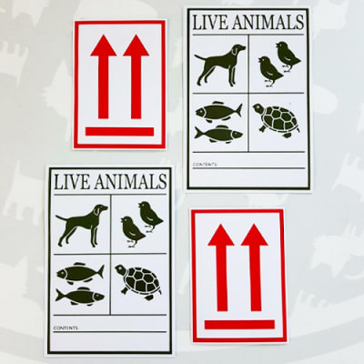 Set de stickers de viaje (4 unidades)