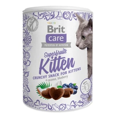 Brit Snack Cat Superfruits Kitten 100g