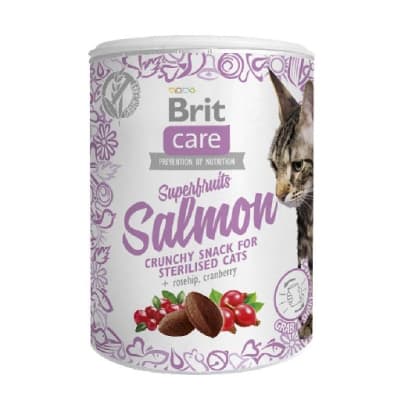 Brit Snack Cat Superfruits Salmon 100g