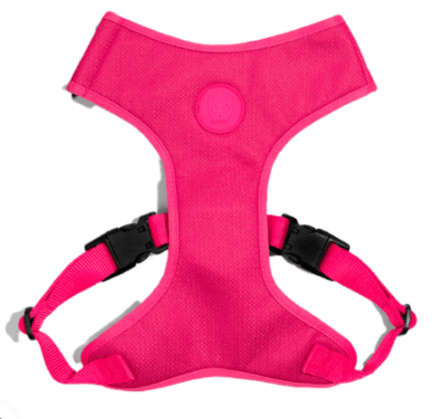 Arnes Solids Zeedog Ajustable