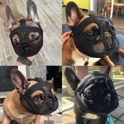 Bozal ajustable para braquicéfalo