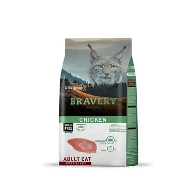 Bravery Pollo adult cat sterilized