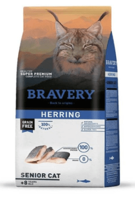 Bravery Herring  Senior Cat