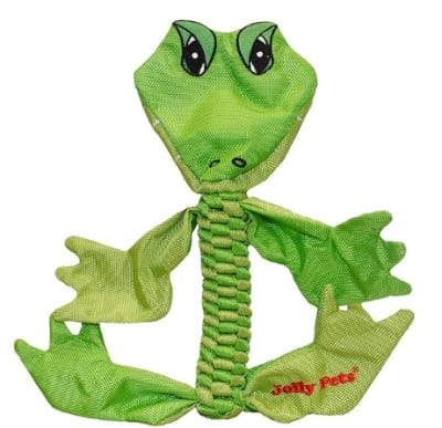 LAGARTIJA Jolly Pets