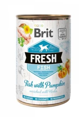 Brit Frresh Fish y Pumpkin