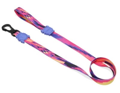 GLITCH LEASH ERROR #500