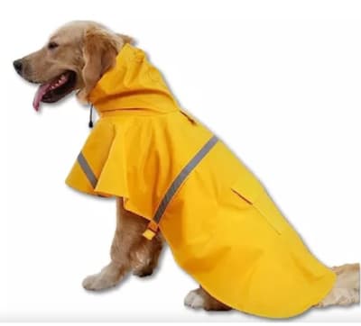 Impermeable perros