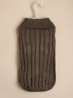 Jersey café para perro