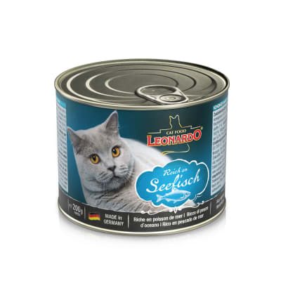 Leonardo lata pescado adulto
