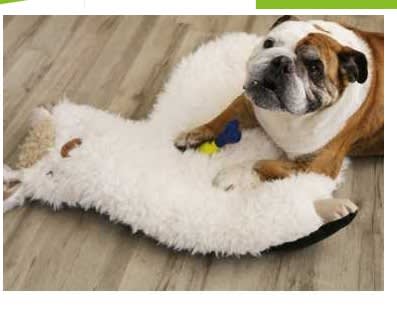 BRNX CAMA LLAMA TALLA L