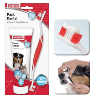 Pack Dental