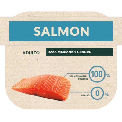 Bravery Salmon Adult large/medium Breeds 4Kg