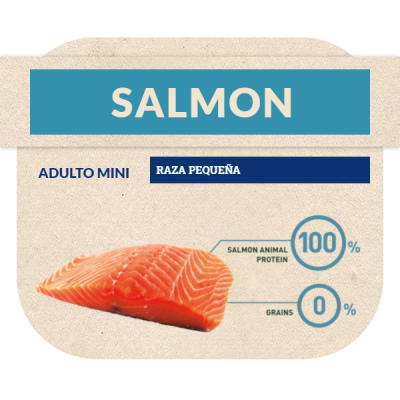Bravery Salmon Mini Adult Small Breeds