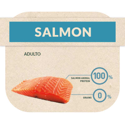 Bravery Salmón Adult Cat 2Kg