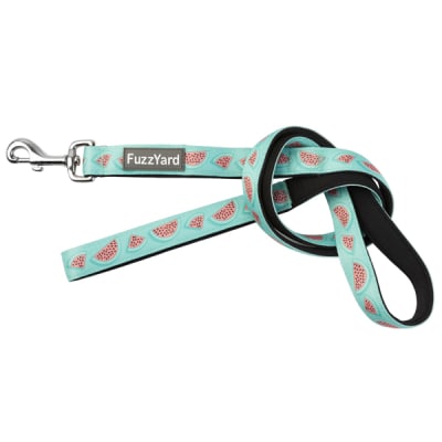 Correa Summer Punch para perros M/L 1,4 mt X 2,5 cm