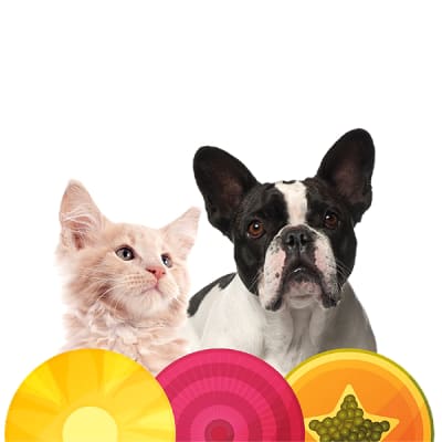 Enzimax Comprimidos para perros y gatos 20comp