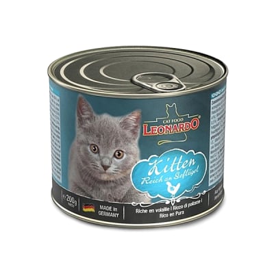 Leonardo lata kitten