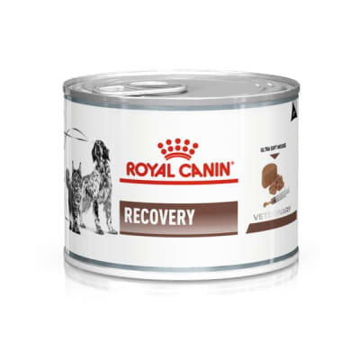 Royal Canin Recovery Canine Lata 145 gr