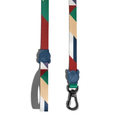 Zeedog Pacco Leash
