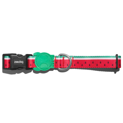 Zeedog Lola Collar