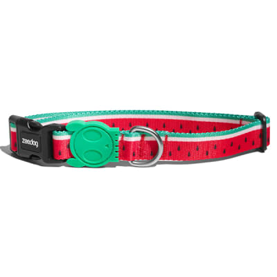 Zeedog Lola Collar