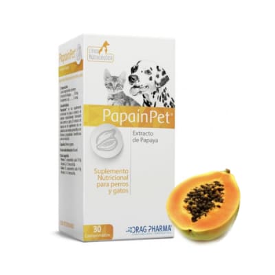 PapainPet Suplemento Nutricional para perros y gatos