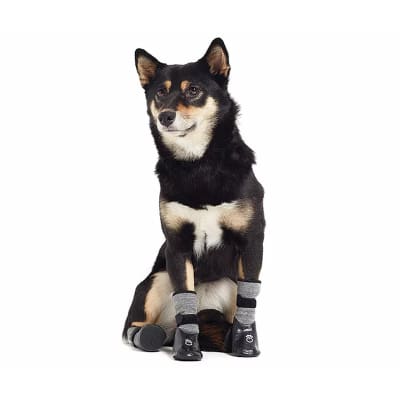 Botines para perro GF PET