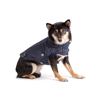 Chaqueta de Denim para perro